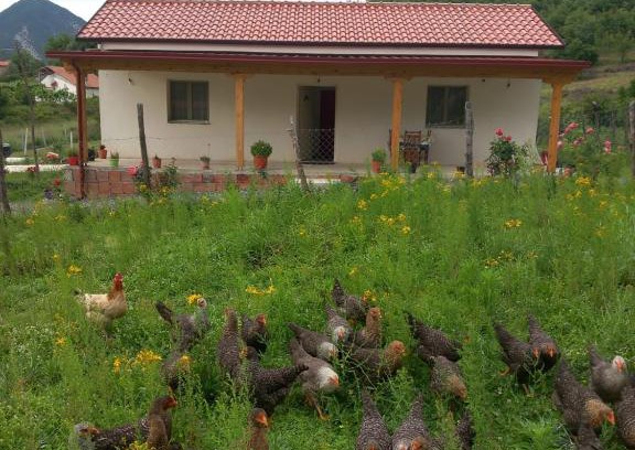 Sakës House | Shpija E AMEL (Sweet Guest House)