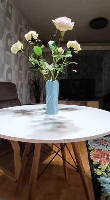 Lieksa Apartment | Siisti valoisa kolmio