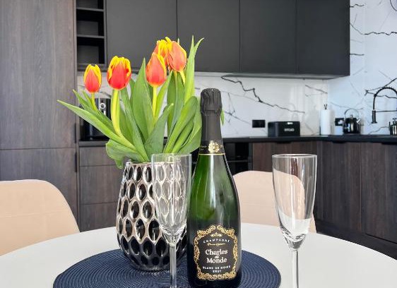Skoczow Apartment | Silesia Apartments Ustron H125