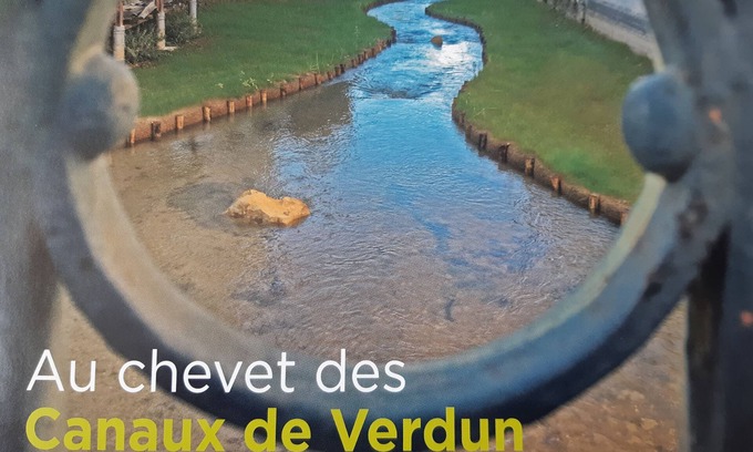 Verdun Apartment | single-storey heart of Verdun