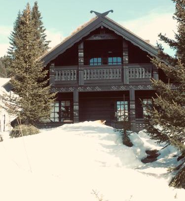 yer Ski Chalet | Ski and Bike-In and Out