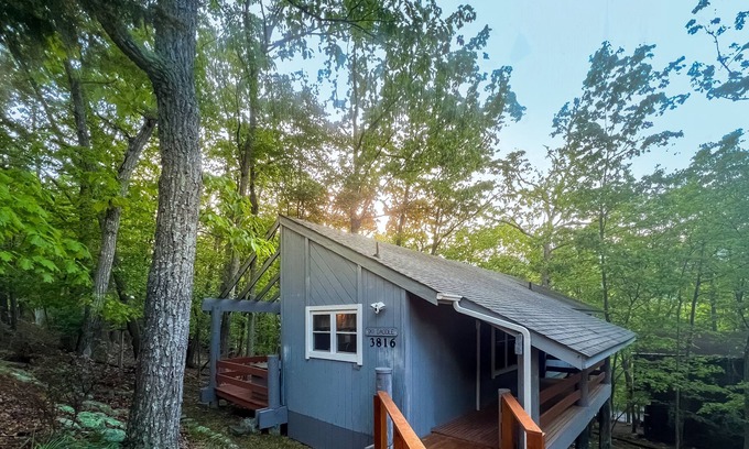 Massanutten Cabin | SkiTop Treehouse BNB | Hot Tub & walk to slopes!