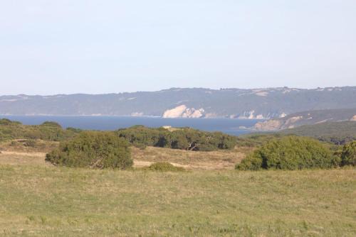 Cape Otway House | SKY SHIP 2 Luxury Off-Grid Eco Accommodation