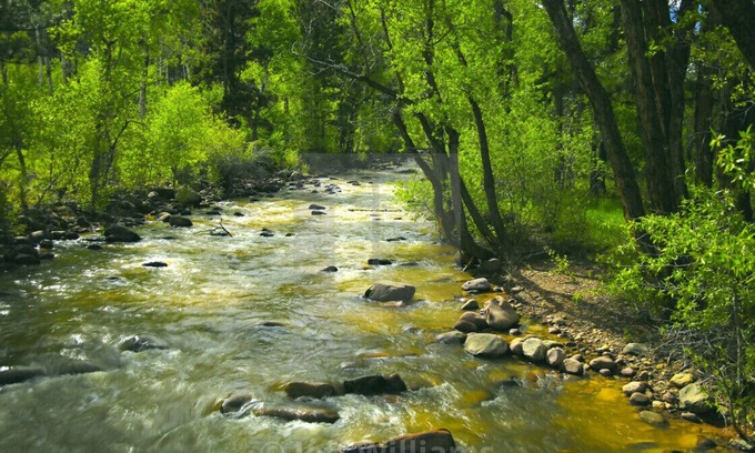 Tridell Other | Sleep numbers, massage chair, air hockey, zipline, petting zoo, games, firepit!