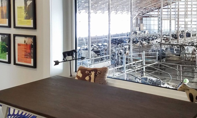 Kesley House | Sleep with the Cows @ New Day Dairy GuestBarn