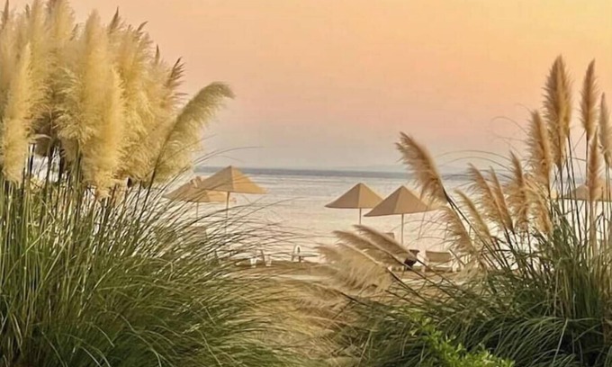 Bafra Resort | Smart Olive Suite by the Sea