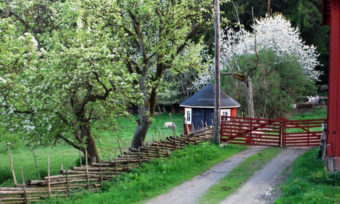 Gamleby House | Smultronboda Fårgård