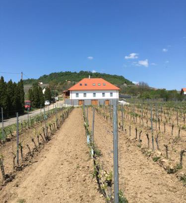 Somlovasarhely House | Somló Kolonics Kúria
