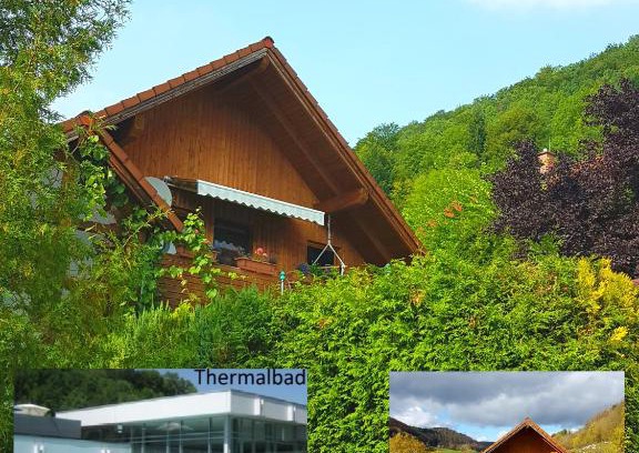 Bad Ditzenbach Apartment | Sonnenbühl Inn Suite & Garden an den Thermen '35C'