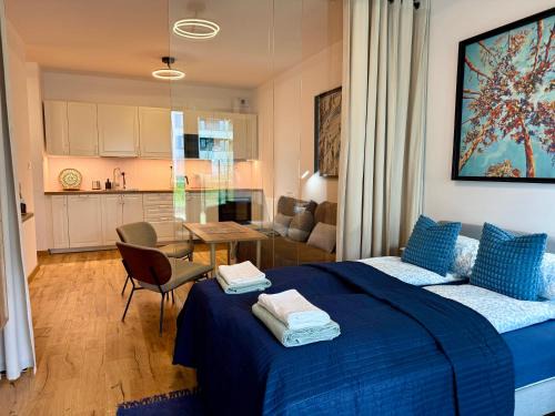 Nowe Miasto Apartment | Sowia Apartment