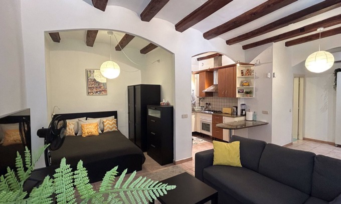 El Raval House | Spacious 1850 Raval 46m Loft. Ideal for Couples and Digital Nomads. Pet-Friendly