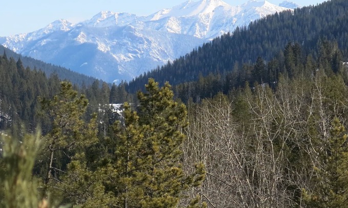 East Kootenay Condo | Spacious, Bright Upper Village Condo W/ A Great View.