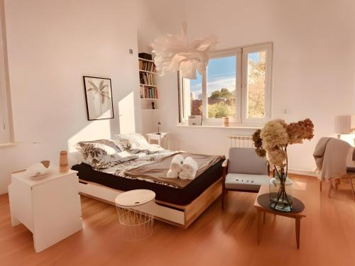 Sielce Apartment | Spacious, quiet and bright apartment, close center - Mokotów air-conditioned rooms