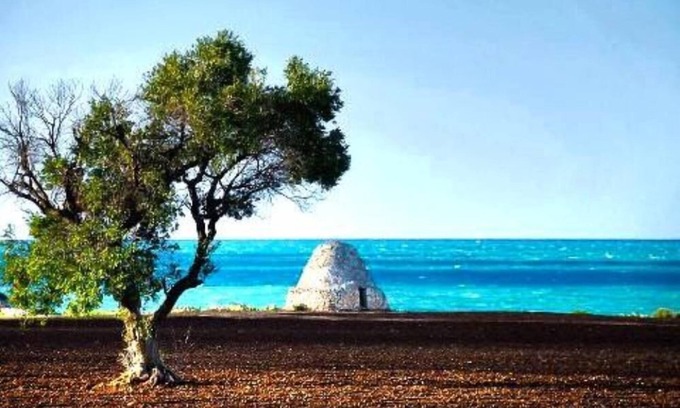 Antonelli Apartment | SPEND YOUR HOLIDAYS IN Apulia - MONOPOLI - South Coast