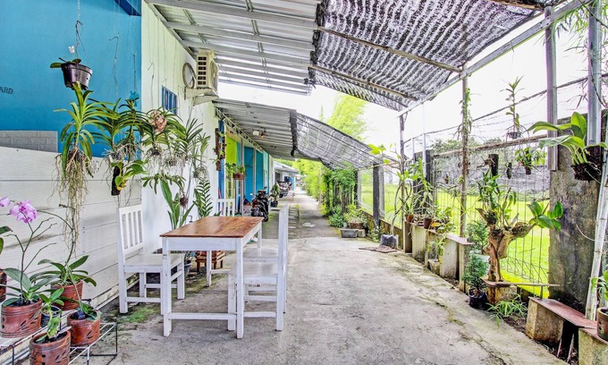 Sei Pinang Hotel | SPOT ON 92179 Latinos House
