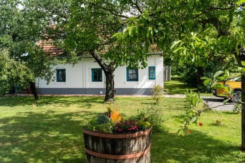 Somogyharsagy House | Stüble Loft