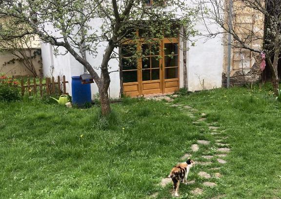 Utery Apartment | Staré děkanství