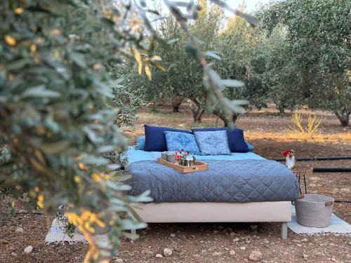 Mires Other | Star Sleep Mires - Cretan Vibes