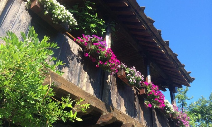 Bojentsi House | Stefanina Guesthouse