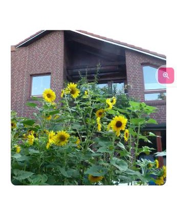 Bemerode House | Steffi