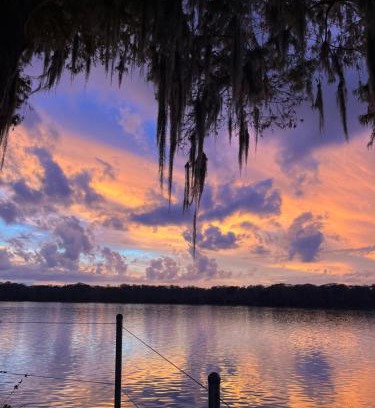 Satsuma Other | Stegbone's Fish Camp and Resort