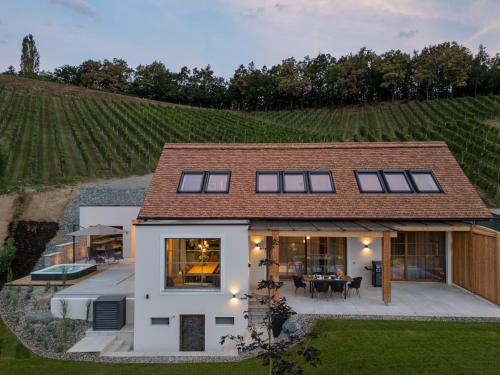 Gamlitz House | steiRerBLiCke - Domaine Sernau Sauvignon
