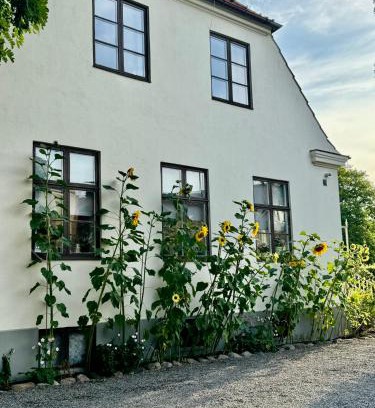 Landskrona Hostel | STF Landskrona Hostel
