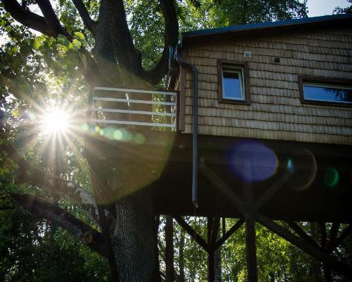 Ogre Municipality House | Strazdu Ligzda Off grid treehouse