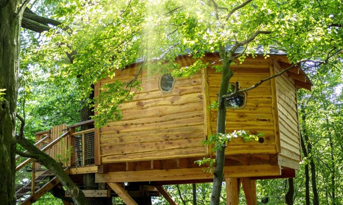 Vlckova House | Stromodomek Vlčková