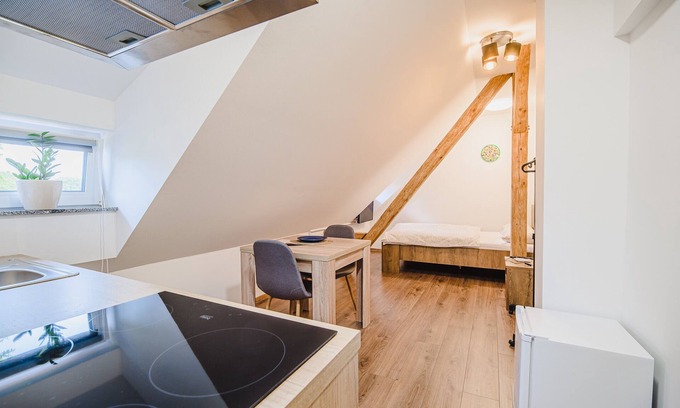 Brezice Apartment | Studio Apartment 8