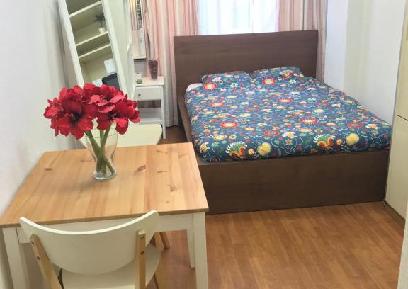 Shinkawa Apartment | Studio Apartment Kayabacho KA2 W&E