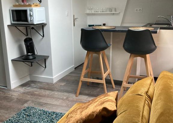 Moliere Vauban Apartment | Studio cocooning et refait à neuf. Lyon 06