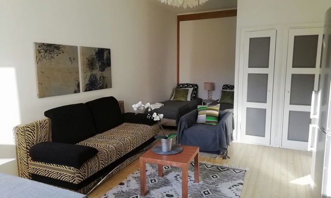Alppiharju Apartment | Studio in Kallio 36 m2 + wifi