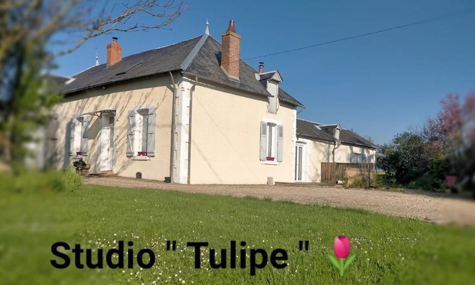 Pays d'Issoudun Apartment | studio 'tulipe' dans le Berry
