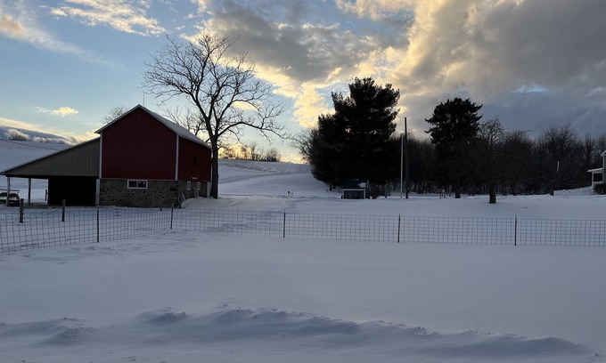 Sodus Apartment | Studio w/kitchen on Alpaca farm Sodus Bay, Wine trails & Brantling ski slope