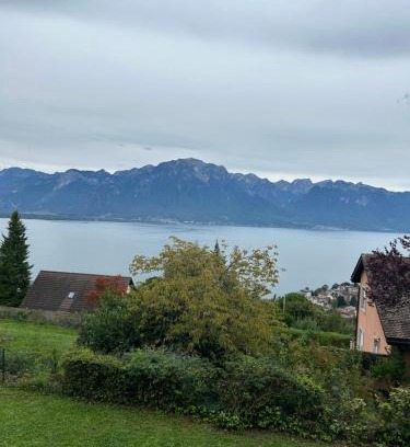 Chernex Apartment | studio with amazing view