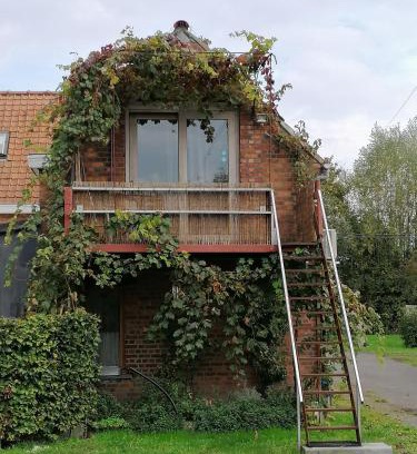 Maldegem Apartment | Studio with More than a View