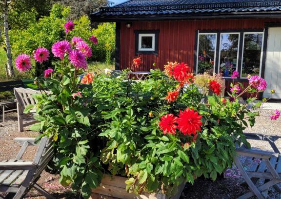 Falun House | StugaFalun
