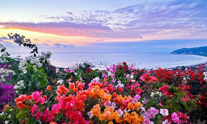 Puerto Lopez Cottage | Stunning views - Cozy and Secluded guesthouse with 1 bedroom and WiFi, AC.
