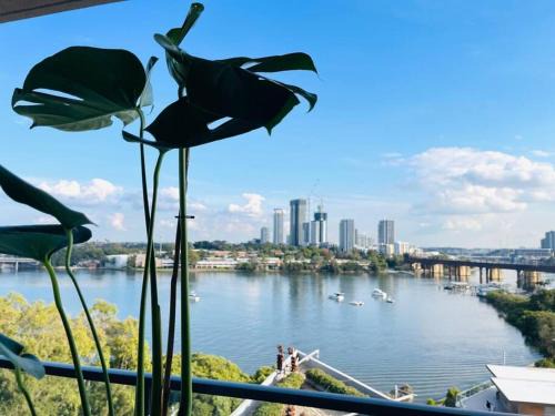 Meadowbank Apartment | Stunning waterfront 3 bedroom condo with Pool, BBQ