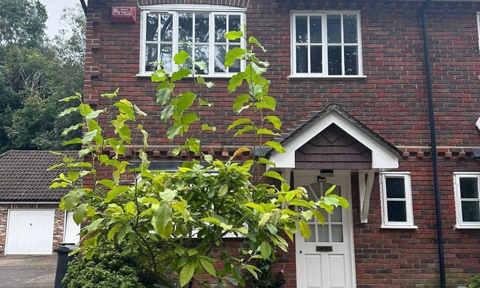 London Borough of Bromley House | Stylish, Renovated Chislehurst Retreat – Walk to Station, Pubs & More!