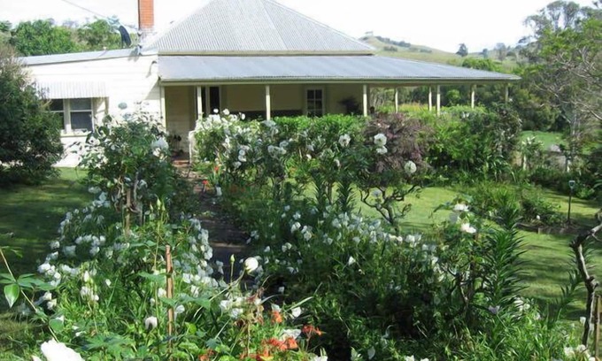 Sugarloaf Other | Sugarloaf Dairy, Dungog