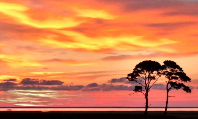 Cape Charles House | Summer's End SALE- 100Acre Private WATERFRONT Home- NatureLovers Paradise&Views!