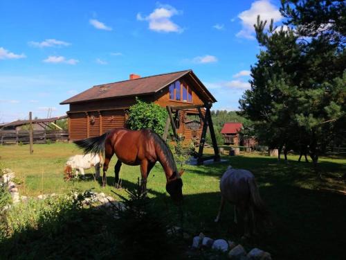 Birzgale House | Summerland