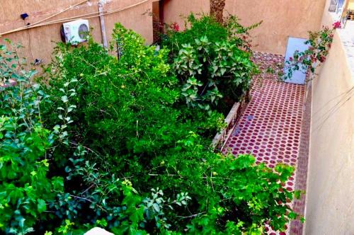 Erfoud Villa | Sunny City Villa with a Garden