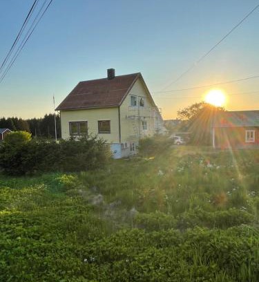 Bud House | Sunny House