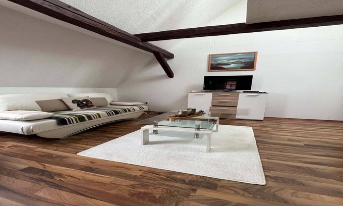 Elbingerode Apartment | Sunny Loft with Mountain Views