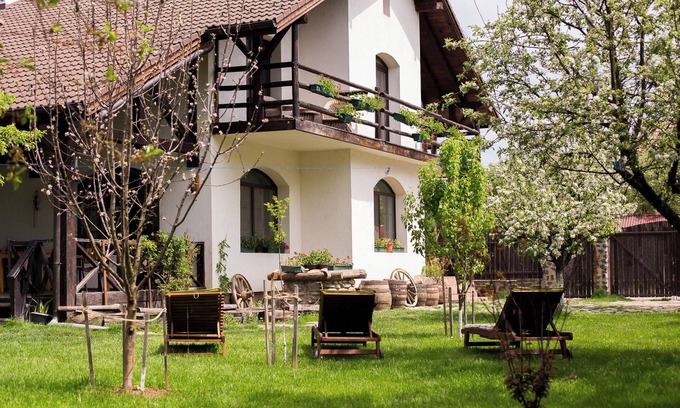 Cartisoara Bed & Breakfast | Sunny rooms and soft beds, ideal for lazy afternoons and silent nights.