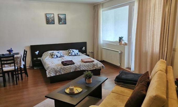Shiligarnika Apartment | Sunny studio apartment - few steps from Gondola