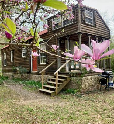 Mena House | Sunnybrook Cabin, wooded, private with stream, near ATV trails